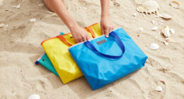 12 Best Collapsible Beach Totes in 2026