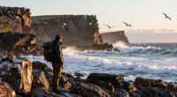 Macquarie Island, Tasmania, Australia Surges In Global Coverage