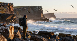 Macquarie Island, Tasmania, Australia Surges In Global Coverage