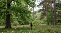 New Forest, Hampshire, United Kingdom Surges In Global Coverage