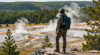 Yellowstone National Park, Wyoming, United States Surges In Global Coverage