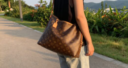 11 Best Louis Vuitton Handbags in 2026