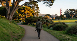 Golden Gate Park, California, United States Surges In Global Coverage