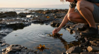 What Lies Beneath The Noise